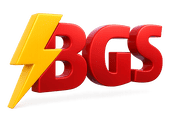 BGS Vision